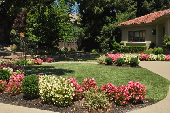 Charlotte Artificial Turf Lansdscaping