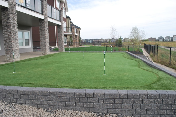 Charlotte residential backyard putting green grass near modern home with golf flags