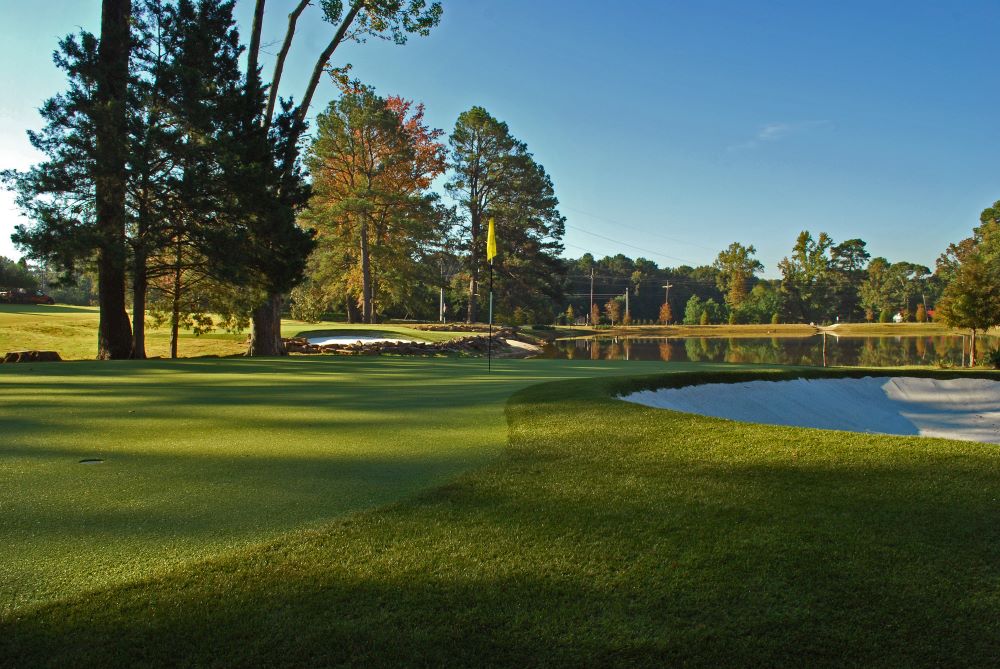 Charlotte Artificial Turf Golf Course