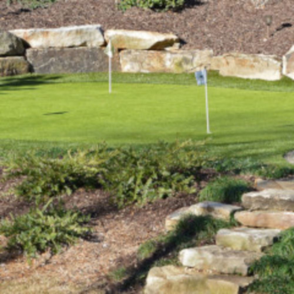 Top Trends For Charlotte Backyard Golf Putting Greens